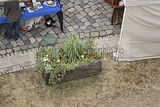 altenburg-trachtenfest-02-06-2012 (50)